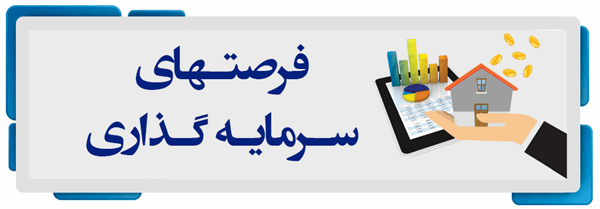 فرصتهای سرمایه گذاری